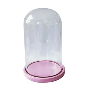 适用于泡泡玛特Molly毕奇DIMOO十五周年专用手办粉漆玻璃罩子包邮