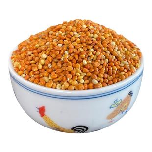 炫料红谷子黄谷子带壳小米粟谷文鸟玉鸟玄凤虎皮牡丹鹦鹉鸟粮鸟食