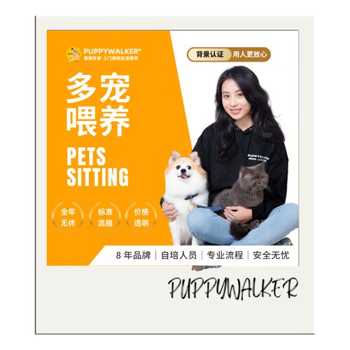上门多宠喂养｜广州杭州多城市｜萌宠在家｜猫狗异宠喂食铲屎遛狗