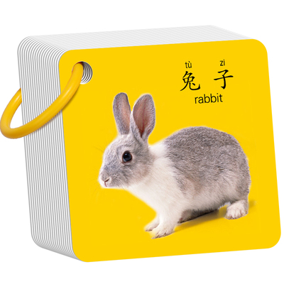 儿童认知卡动物世界早教启蒙书