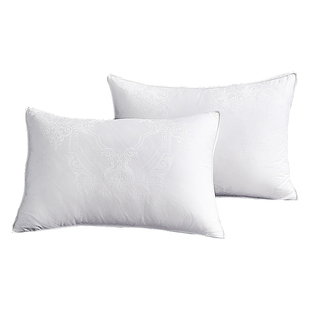 雪羽自充羽绒枕壳枕套2025新款纯棉单个一对装48cmx74cm内胆套