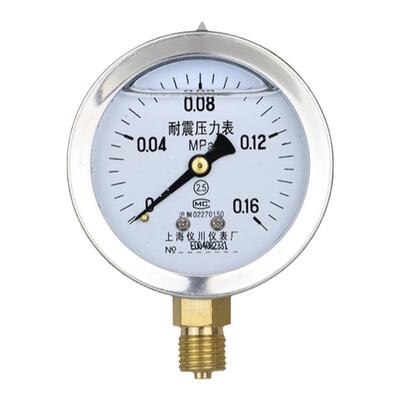 上海仪川仪表厂耐震压力表径向