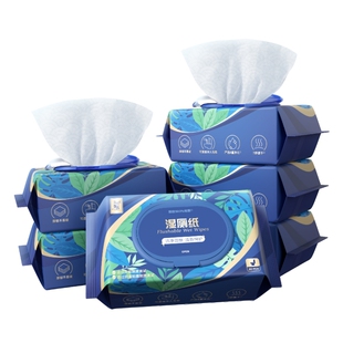 东方甄选牌湿巾湿厕纸家庭装便携装清洁护理厕所湿纸巾温和擦拭