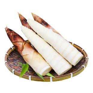 临安天目山春笋雷笋5斤精选大笋应季蔬菜产地现挖现发脆嫩竹笋尖