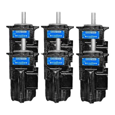 Denison丹尼逊液压油泵叶片泵T6C