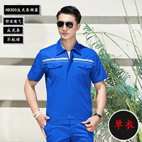 Лето короткошерстное озеро синие синглы