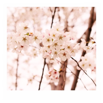 沉墨纸品方形明信片定制照片打