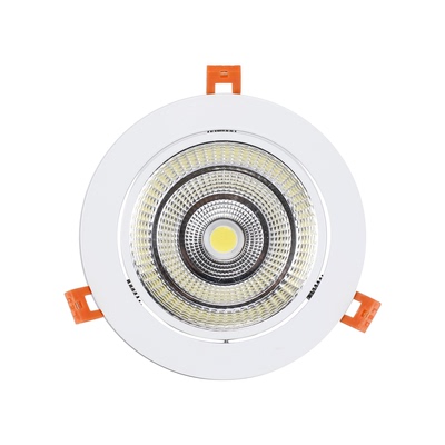 戴逸定制宽压110-220V铝LED射灯