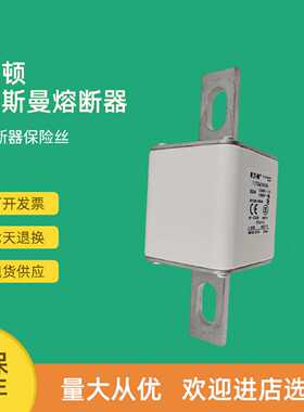 议价全新快速熔断器保险170M5695 170M5696 170M5697 170M5698