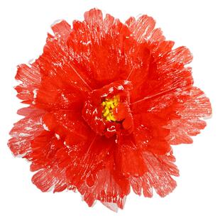 儿童舞蹈道具手拿花瓣广场舞手持牡丹花幼儿园跳舞手花舞台表演出