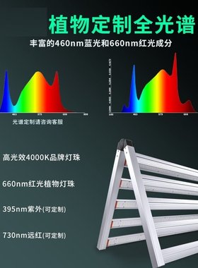 八爪鱼植物生长灯640w大功率全光谱植物灯1000w植物补光灯LED