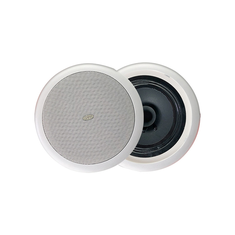 Hivi/惠威 TD202/TD201定压吸顶喇叭嵌入式音箱天花吊顶音响套装
