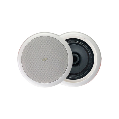hivi/惠威定压吸顶TD201吊顶喇叭