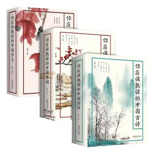 中国古诗词鉴赏全套3册你应该熟读的中国古诗+古文 +古词正版原著给孩子的唐诗宋词元曲古典作品集赏析书籍畅销书四书五经人间词话