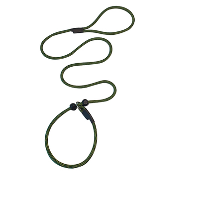 狗狗训练P绳P链一体式遛狗绳