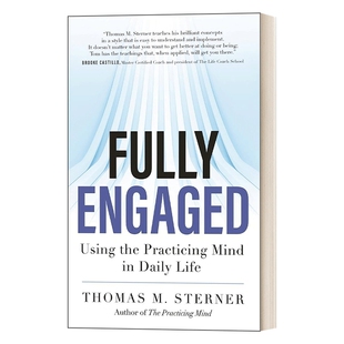 华研原版 英文原版 Fully Engaged 全神贯注的方法 怎样让自己在日常工作中全神贯注 达到“忘我”的状态 英文版 进口英语原版书籍