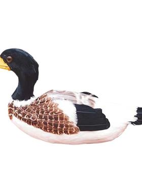 标本模型园林景观道具早教装饰品