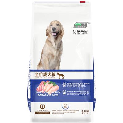 伊萨尚品泰迪狗大型犬金毛