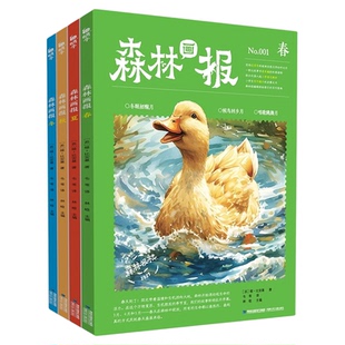 森林画报 春夏秋冬全四册大开本森林报彩色版科普百科故事书二三四五年级课外书小学生课外阅读书籍好词好句儿童读物 6-12 岁绘本