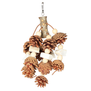 鹦鹉鸟玩具解闷自嗨墨鱼骨松果挂件中大型专用啃咬串磨牙笼内装饰