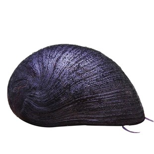 黑金刚螺除藻螺观赏螺清洁工具螺彩蛋螺苹果螺热带草缸杀手螺吃藻