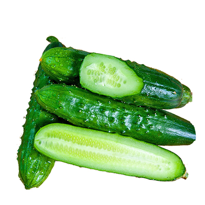 东北旱黄瓜新鲜小黄瓜青瓜时令旱生吃脆嫩清甜顺丰包邮应季蔬菜