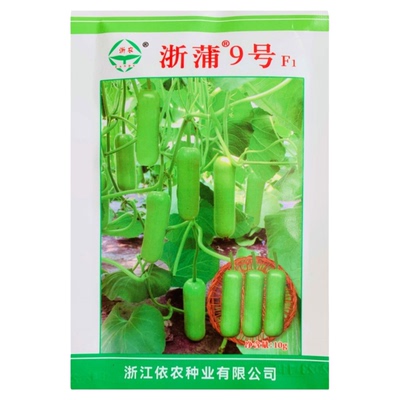 浙蒲9号瓠子瓜种子短棒早生