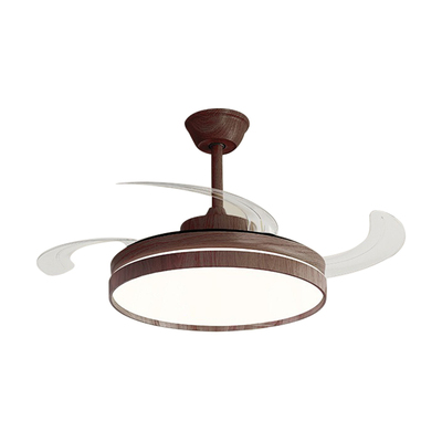 2025年新款中古风隐形风扇灯