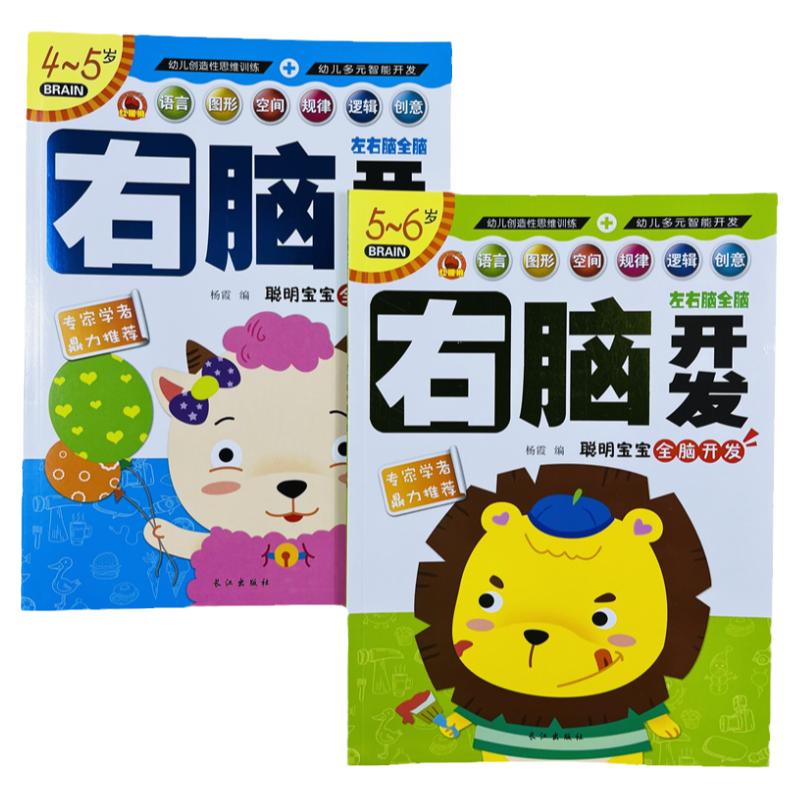4-5-6岁儿童右脑开发2册44页/本