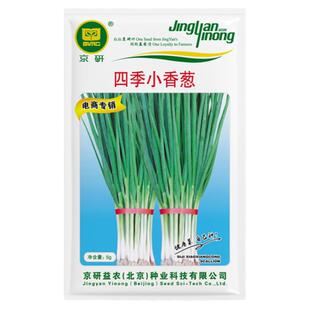 农科院葱种子大葱四季小香葱韭葱分葱红葱头家庭阳台盆栽蔬菜籽孑