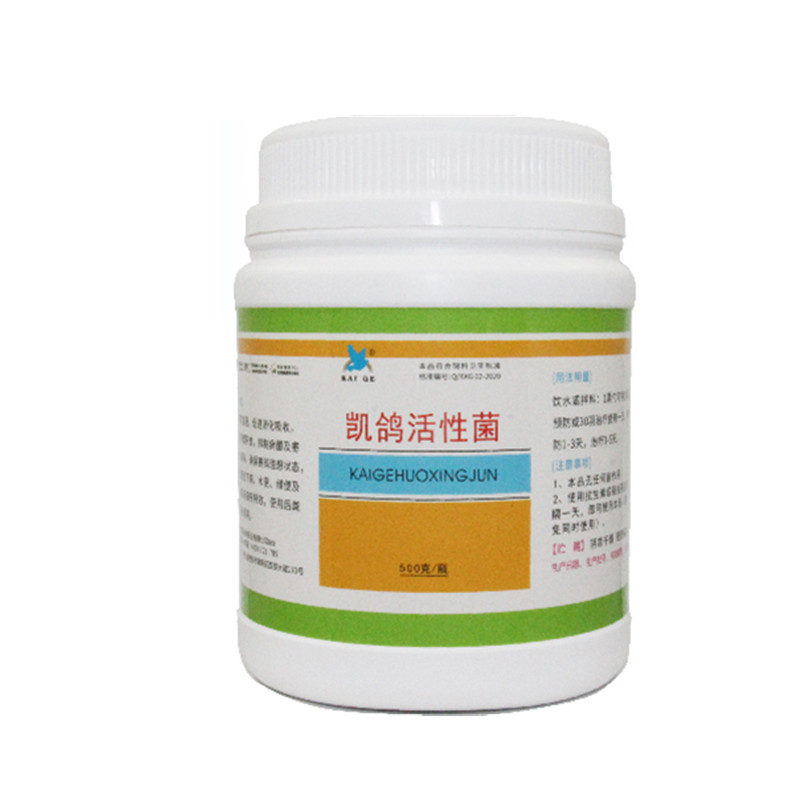 凯鸽鸽子药活性菌赛鸽活菌公棚