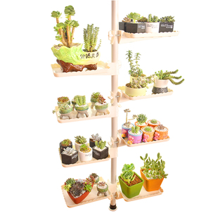 阳台多肉花架顶天立地花架伸缩杆家用室内室外飘窗铁艺小型置物架