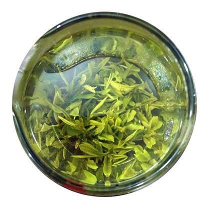 安徽一级传统手工包邮舒城小兰花