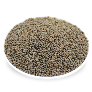 25年贵州酥麻籽精选1斤油性苏子农家种生酥麻黑苏麻引子 好苏麻籽