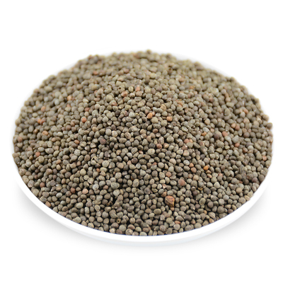 25年贵州酥麻籽精选1斤油性苏子农家种生酥麻黑苏麻引子 好苏麻籽