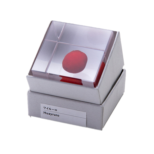 日本进口正品sola植物标本Sola cube永生花树脂摆件情人节礼物