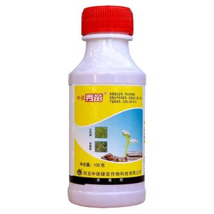 中保秀苗3%甲霜恶霉灵水剂水稻黄瓜枯萎立枯病土壤消毒农药杀菌剂