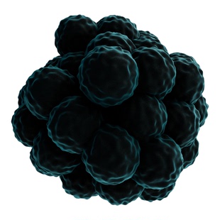 肿瘤团模型材料场景创意 生物科研素材C4D 3D格式源文件热门创意