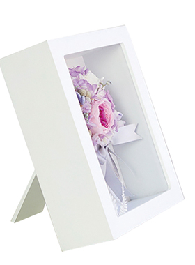 diy中空相框昆虫样品盒植物标本