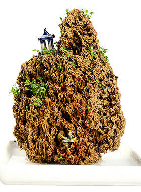 上好黄金天然摆件绿植麦管石