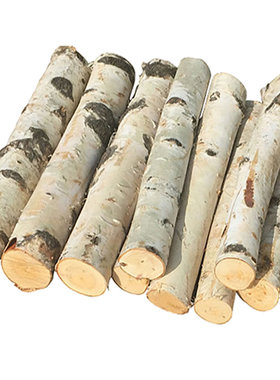 装饰摆件背景墙壁炉陈列美式桦木