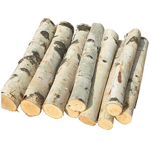 装饰木摆件桦木壁炉橱窗陈列圣诞木柴拍照道具圆木燃木块柴火木头