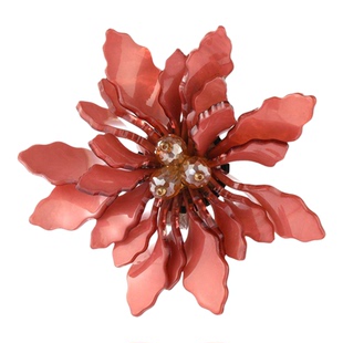 2026潮流亚克力花朵胸针精致古典饰品优雅气质流苏高档胸花brooch