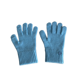 出口单~高品质100%wool澳洲羊毛手套分指可触屏女冬季保暖冰蓝色