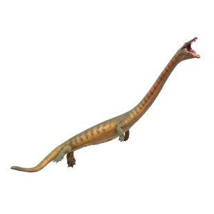 PNSO恐头龙小冲恐龙大王成长陪伴模型91