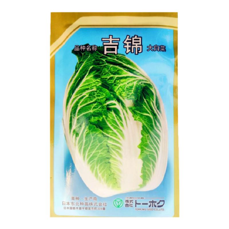 吉锦进口黄心大白菜种子孑耐低温