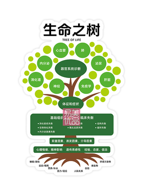生命之树健康科普教具中医馆养生馆客户沟通可视化讲解工具合规