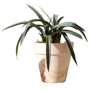 掬涵焦糖玛奇朵花盆粗陶透气吸水粗陶盆高档陶土盆带托盘红陶花盆