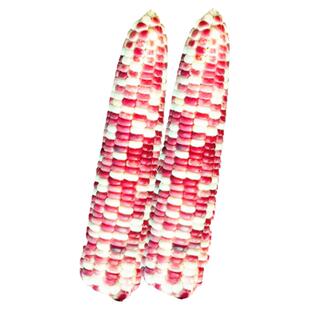 彩甜糯6号玉米种子大全糯黏玉米种籽彩糯水果糯米粘超孑香甜软糯