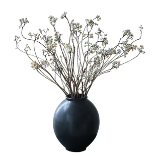 小白果乌桕果天然树枝干花花束干枝侘寂风花瓶插花装饰高级感真花